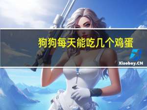 狗狗每天能吃几个鸡蛋