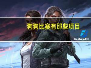 狗狗比赛有那些项目