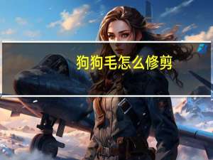 狗狗毛怎么修剪