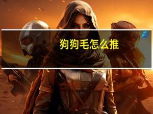 狗狗毛怎么推