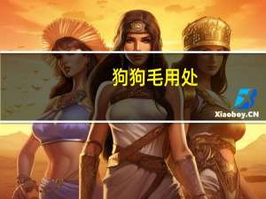 狗狗毛用处