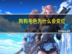 狗狗毛色为什么会变红