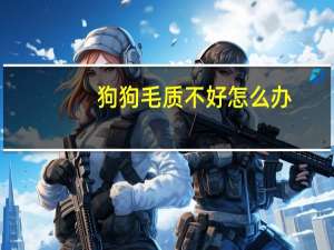 狗狗毛质不好怎么办
