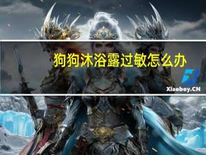 狗狗沐浴露过敏怎么办