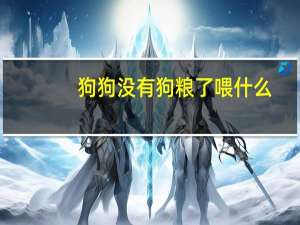 狗狗没有狗粮了喂什么