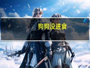 狗狗没进食