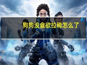 狗狗没食欲拉稀怎么了