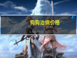 狗狗治病价格