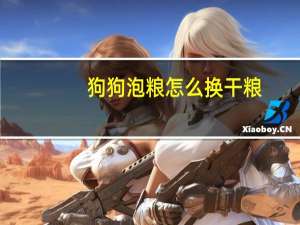 狗狗泡粮怎么换干粮
