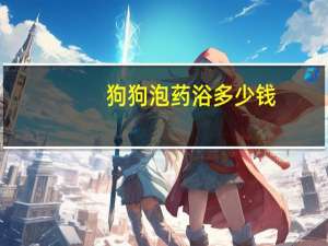 狗狗泡药浴多少钱