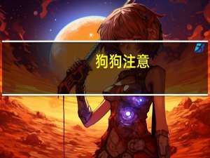 狗狗注意