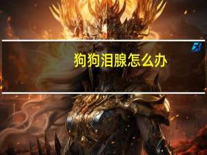 狗狗泪腺怎么办
