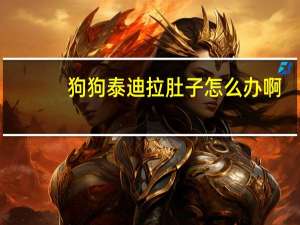 狗狗泰迪拉肚子怎么办啊
