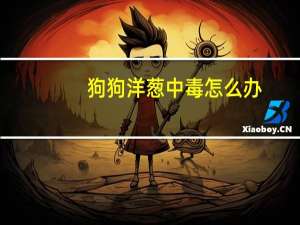 狗狗洋葱中毒怎么办