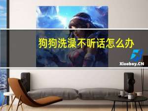 狗狗洗澡不听话怎么办