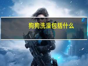 狗狗洗澡包括什么