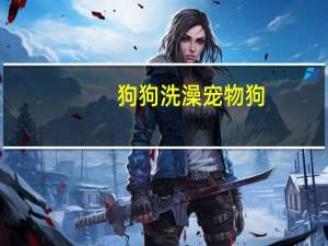 狗狗洗澡宠物狗