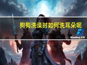 狗狗洗澡时如何洗耳朵呢