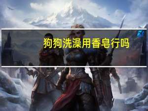 狗狗洗澡用香皂行吗