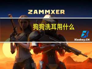 狗狗洗耳用什么