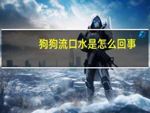 狗狗流口水是怎么回事