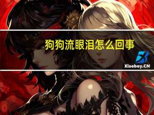 狗狗流眼泪怎么回事