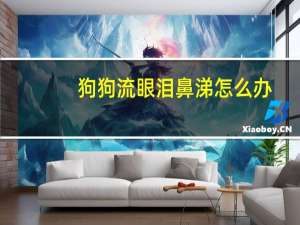 狗狗流眼泪鼻涕怎么办