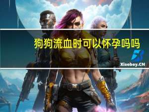 狗狗流血时可以怀孕吗吗