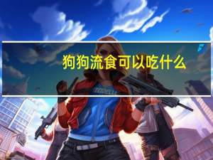 狗狗流食可以吃什么