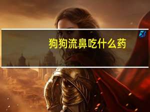 狗狗流鼻吃什么药