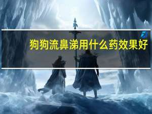 狗狗流鼻涕用什么药效果好