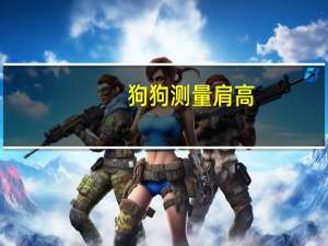 狗狗测量肩高