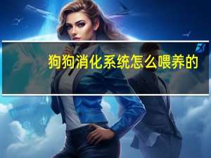 狗狗消化系统怎么喂养的