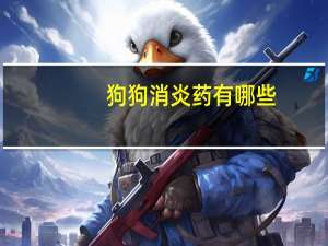 狗狗消炎药有哪些