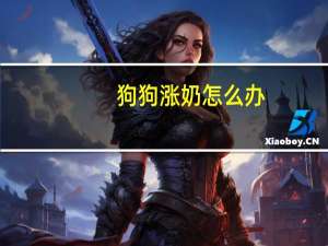 狗狗涨奶怎么办