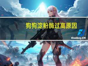 狗狗淀粉酶过高原因
