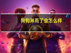 狗狗淋雨了会怎么样