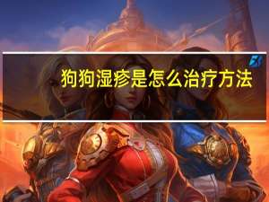 狗狗湿疹是怎么治疗方法