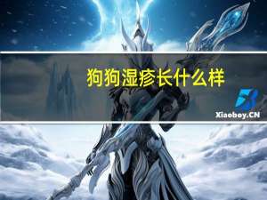 狗狗湿疹长什么样