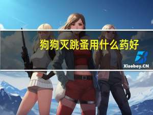 狗狗灭跳蚤用什么药好