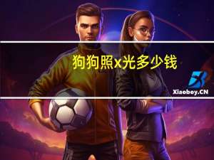 狗狗照x光多少钱