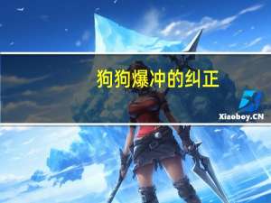 狗狗爆冲的纠正