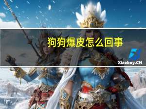 狗狗爆皮怎么回事