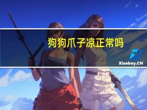 狗狗爪子凉正常吗