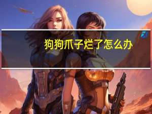 狗狗爪子烂了怎么办