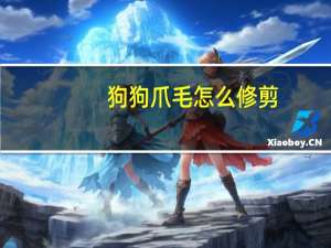 狗狗爪毛怎么修剪