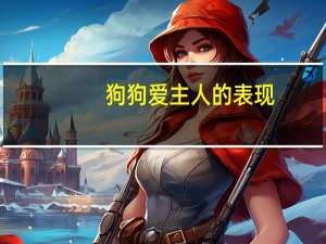 狗狗爱主人的表现