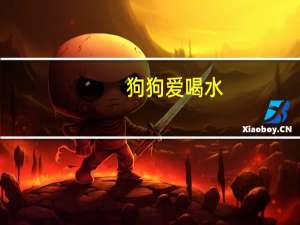 狗狗爱喝水