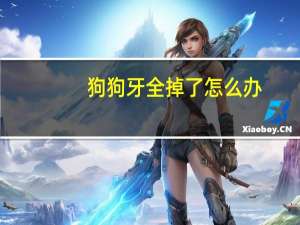 狗狗牙全掉了怎么办