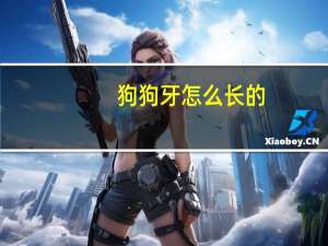 狗狗牙怎么长的